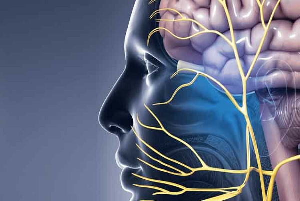 Trigeminal Neuralgia